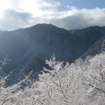 天然水が創られる山