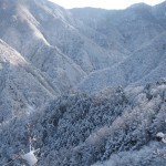 天然水が創られる山