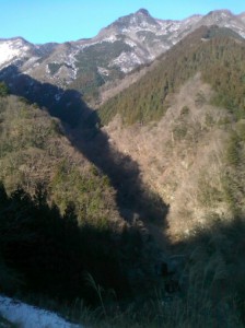 おいしい天然水を創る山