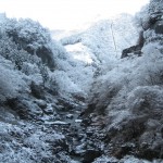 天然水が創られる山