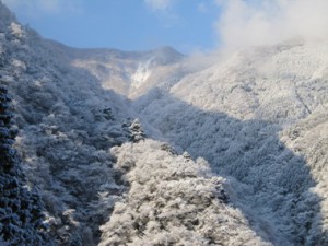 おししい水の元