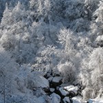 天然水が創られる山