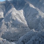 天然水が創られる風景