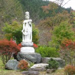 おいしい水が創られる風景