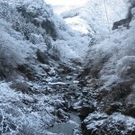 天然水が創られる風景