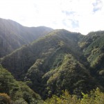 おいしい水が創られる風景