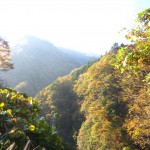 おいしい水が創られる風景