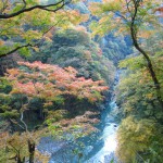 おいしい水　が創られる風景