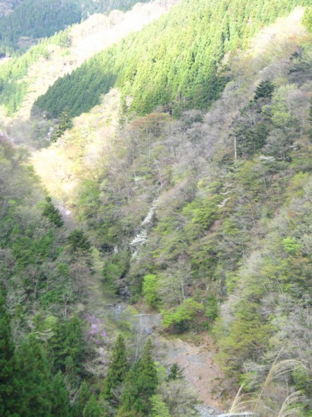 天然水が創られる山々