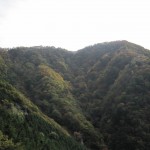 おいしい水が創られる風景