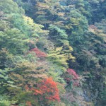 おいしい水が創られる風景