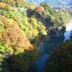 おいしい水が創られる風景