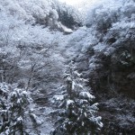 天然水の創られる