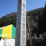 清雲寺のしだれ桜