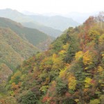 秩父　紅葉