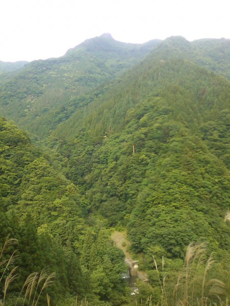 天然水が創られる山々