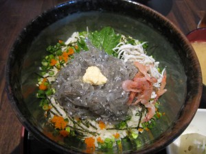 江の島　生シラス丼