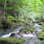 天然水が創られる山々