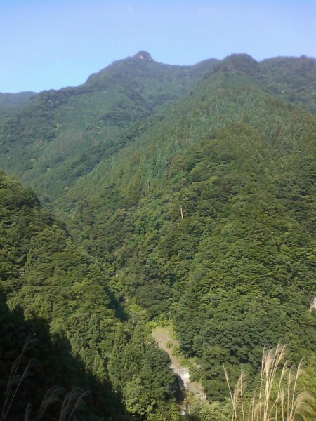 天然水が創られる山々