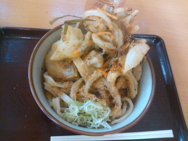 道の駅あしがくぼの食堂で食べたうどん　