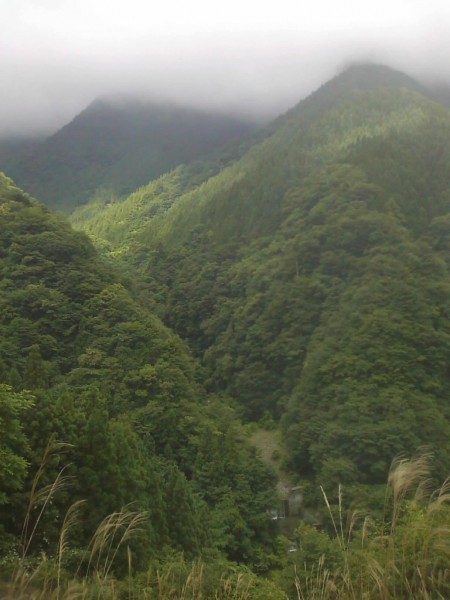 天然水　が創られる山々