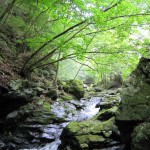 天然水が創られる山々