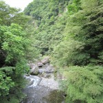 天然水が創られる山々