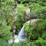 天然水が創られる山々