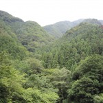 天然水が創られる山々