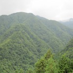 天然水が創られる山々