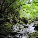 天然水が創られる山々