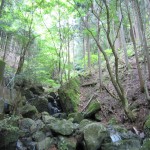 天然水が創られる山々