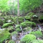 天然水が創られる山々