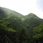 天然水が創られる山々