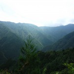 天然水が創られる山々