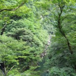 天然水が創られる山々