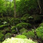 天然水が創られる山々