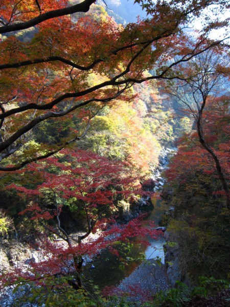 秩父市大滝にある紅葉の絶景