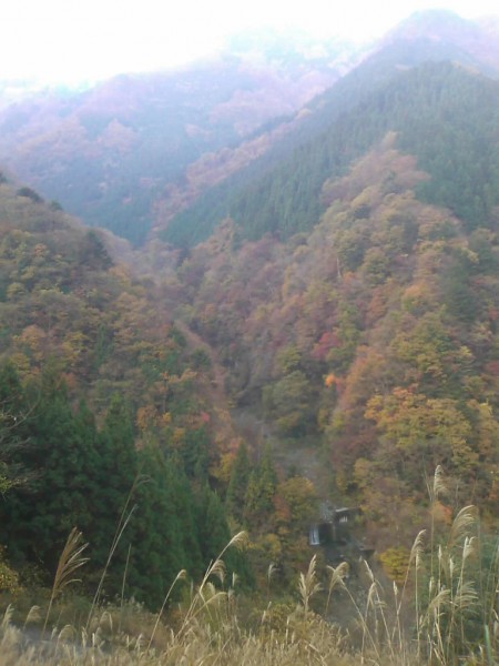 天然水が創られる山々