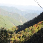 天然水が創られる山々の紅葉