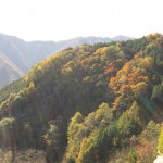 天然水が創られる山々の紅葉