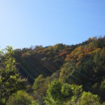 天然水が創られる山々の紅葉