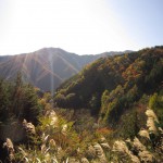 天然水が創られる山々の紅葉