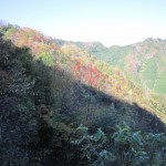 天然水が創られる山々の紅葉