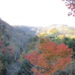 天然水が創られる山々の紅葉