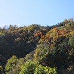 天然水が創られる山々の紅葉