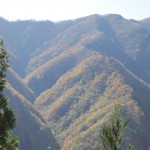 天然水が創られる山々の紅葉