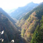 天然水が創られる山々の紅葉