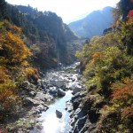 天然水が創られる山々の紅葉