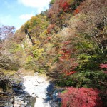 天然水が創られる山々の紅葉